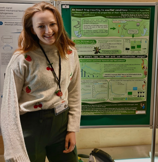 News photo